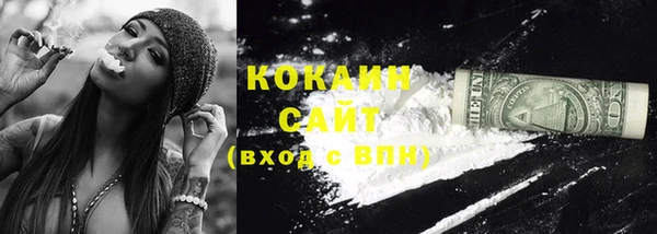 дживик Богородск