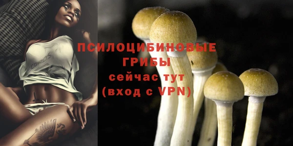 амф Богданович
