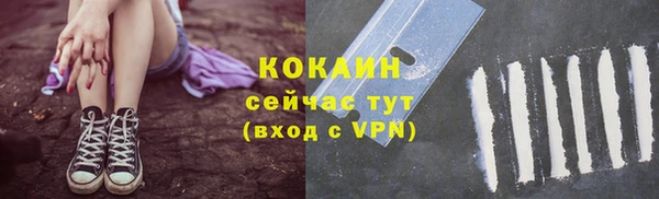 амф Богданович