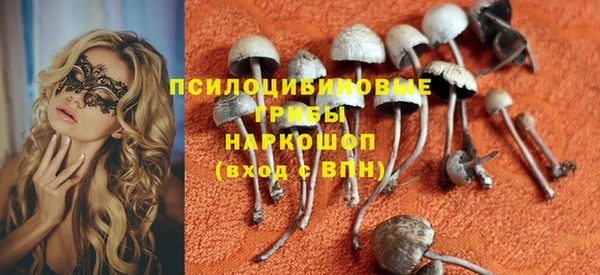 Альфа ПВП Богородицк