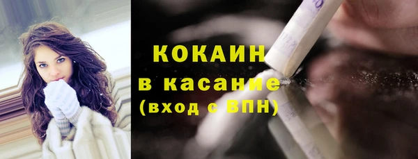 дживик Богородск
