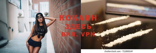амф Богданович