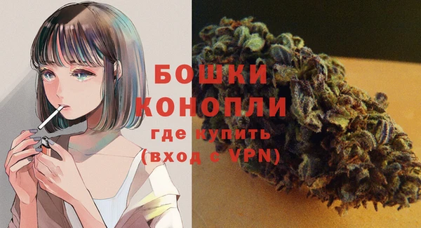 дживик Богородск
