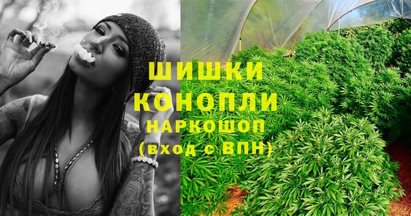 кокс Бородино