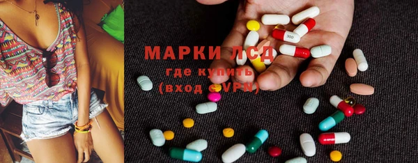 дживик Богородск