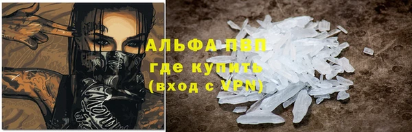 амф Богданович